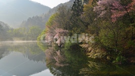전남, 화순, 세량지, 세량제, 저수지, 사진,이미지,일러스트,캘리그라피 - 영산공작가 크라우드픽 - 저작권 걱정 없는 상업용 이미지
