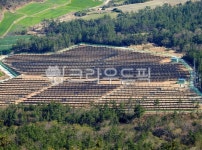 outdoors, 옥외, 태양광, 전기, 태양광발전, 사진,이미지,일러스트,캘리그라피 - 희나리작가 크라우드픽 - 저작권 걱정 없는 상업용 이미지