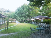 가든, 카페, 테라스, 풍경, 잔디, 사진,이미지,일러스트,캘리그라피 - CL작가 크라우드픽 - 저작권 걱정 없는 상업용 이미지