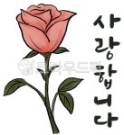 꽃, 꽃그림, 꽃일러스트, 장미, 장미그림, 사진,이미지,일러스트,캘리그라피 - lifeupstory작가 크라우드픽 - 저작권 걱정 없는 상업용 이미지