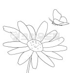 선화, 라인드로잉, 채색도안, 컬러링도안, 꽃, 사진,이미지,일러스트,캘리그라피 - phpeace3작가 크라우드픽 - 저작권 걱정 없는 상업용 이미지