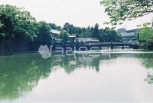 water, 물, nature, 자연, outdoors, 사진,이미지,일러스트,캘리그라피 - 벤트라작가 크라우드픽 - 저작권 걱정 없는 상업용 이미지