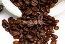 커피, 아침, 커피향기, coffee, breakfast, 사진,이미지,일러스트,캘리그라피 - Shins작가 크라우드픽 - 저작권 걱정 없는 상업용 이미지