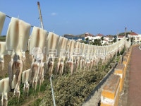 길, walkway, 보도, road, 도로, 사진,이미지,일러스트,캘리그라피 - 스틴작가 크라우드픽 - 저작권 걱정 없는 상업용 이미지