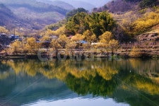 지리산, 현천마을, 저수지, 봄, 산수유, 사진,이미지,일러스트,캘리그라피 - Photophil작가 크라우드픽 - 저작권 걱정 없는 상업용 이미지