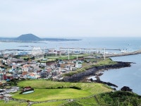 제주도, 바다, 산, 풍경, 나무, 사진,이미지,일러스트,캘리그라피 - 제주위미작가 크라우드픽 - 저작권 걱정 없는 상업용 이미지