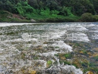 맑은계곡물, 맑은물, 강물, 흐르는물, 물흐르는계곡, 사진,이미지,일러스트,캘리그라피 - 개뿔작가 크라우드픽 - 저작권 걱정 없는 상업용 이미지