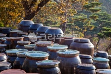 장독대, 항아리, 장독, 그릇, 가을, 사진,이미지,일러스트,캘리그라피 - 초록비 내리는 날작가 크라우드픽 - 저작권 걱정 없는 상업용 이미지