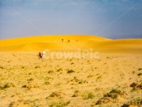 몽골관광여행, 고비사막, 모래언덕, 모래톱, 모래산 사진, 이미지 - 파랑작가 가장 한국적인 스톡 사진 - 크라우드픽