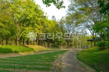 서울, 상암동, 공원, 난지천공원, 산책, 사진,이미지,일러스트,캘리그라피 - imlover작가 크라우드픽 - 저작권 걱정 없는 상업용 이미지