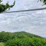 vegetation, 초목, nature, 자연, outdoors, 사진,이미지,일러스트,캘리그라피 - adgcethiyd작가 크라우드픽 - 저작권 걱정 없는 상업용... 