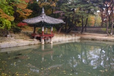 창덕궁, 창덕궁후원, 애련지, 애련정, 고궁, 사진,이미지,일러스트,캘리그라피 - 귀리작가 크라우드픽 - 저작권 걱정 없는 상업용 이미지