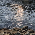 윤슬, 햇빛, 물결, nature, light, 사진,이미지,일러스트,캘리그라피 - 풍경조아작가 크라우드픽 - 저작권 걱정 없는 상업용 이미지