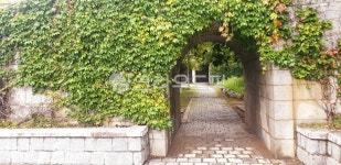 경주, 보문, 풍경, garden, 정원, 사진,이미지,일러스트,캘리그라피 - 아보카도작가 크라우드픽 - 저작권 걱정 없는 상업용 이미지