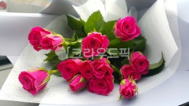 꽃다발, 장미, 미니장미, 꽃, flower, 사진,이미지,일러스트,캘리그라피 - savehada작가 크라우드픽 - 저작권 걱정 없는 상업용 이미지