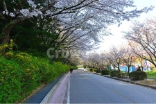 광주, 북구, 운암동, 비엔날레, 중외공원, 사진,이미지,일러스트,캘리그라피 - 영산공작가 크라우드픽 - 저작권 걱정 없는 상업용 이미지