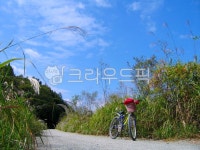우포늪, 자전거, bicycle, 가을, 우포늪산책로, 사진,이미지,일러스트,캘리그라피 - 숑란작가 크라우드픽 - 저작권 걱정 없는 상업용 이미지