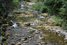 계곡, 자연, 시냇물, 또랑, 물, 사진,이미지,일러스트,캘리그라피 - 시넝이작가 크라우드픽 - 저작권 걱정 없는 상업용 이미지