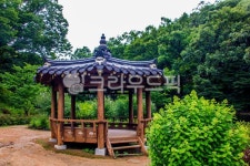 자연, nature, 옥외, outdoors, 정자, 사진,이미지,일러스트,캘리그라피 - studio H작가 크라우드픽 - 저작권 걱정 없는 상업용 이미지