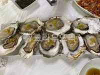 음식, 해물, seafood, 굴, 석화, 사진,이미지,일러스트,캘리그라피 - limyj1179작가 크라우드픽 - 저작권 걱정 없는 상업용 이미지