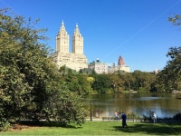 뉴욕, 센트럴파크, 맨하튼, centralpark, newyork, 사진,이미지,일러스트,캘리그라피 - hj_yoon작가 크라우드픽 - 저작권 걱정 없는 상업용... 