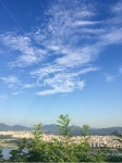 하늘, 구름, 권적운, 전경, 가을하늘, 사진,이미지,일러스트,캘리그라피 - 사진찍는디자이너작가 크라우드픽 - 저작권 걱정 없는 상업용 이미지