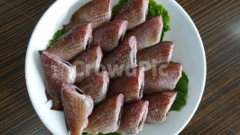 돔, 자리돔, 자리돔회, 생선회, 제주도음식, 사진,이미지,일러스트,캘리그라피 - LIA작가 크라우드픽 - 저작권 걱정 없는 상업용 이미지