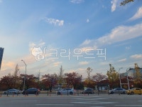 버스정류장, 파란하늘, 건너편, 자동차행렬, 자동차, 사진,이미지,일러스트,캘리그라피 - lesegokim작가 크라우드픽 - 저작권 걱정 없는 상업용... 