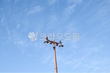 맑은, 하늘, 가로등, natural, cloud, 사진,이미지,일러스트,캘리그라피 - 아모게작가 크라우드픽 - 저작권 걱정 없는 상업용 이미지