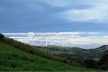 green, 초록, 옥외, outdoors, daegwallyeong, 사진,이미지,일러스트,캘리그라피 - 씨앗심다작가 크라우드픽 - 저작권 걱정 없는 상업용...