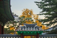 서울, 명륜동, 성균관, 유림회관, 건축물, 사진,이미지,일러스트,캘리그라피 - imlover작가 크라우드픽 - 저작권 걱정 없는 상업용 이미지