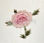 자수, 꽃, 꽃자수, 공예, 실, 사진,이미지,일러스트,캘리그라피 - JSOTT작가 크라우드픽 - 저작권 걱정 없는 상업용 이미지
