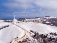 선자령, 삼양목장, 목장, 농장, 눈, 사진,이미지,일러스트,캘리그라피 - cstrike작가 크라우드픽 - 저작권 걱정 없는 상업용 이미지