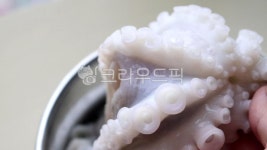 쭈꾸미, 식재료, 수산물, 푸드, food, 사진,이미지,일러스트,캘리그라피 - 요리쿡마녀작가 크라우드픽 - 저작권 걱정 없는 상업용 이미지