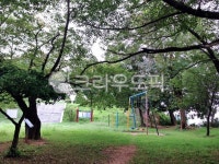 공원, 봄, 푸른, 새싹, 잔디, 사진,이미지,일러스트,캘리그라피 - 또또처자작가 크라우드픽 - 저작권 걱정 없는 상업용 이미지