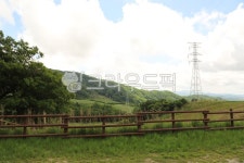 자연, 송전탑, 목장, 하늘, sky, 사진,이미지,일러스트,캘리그라피 - 김남전작가 크라우드픽 - 저작권 걱정 없는 상업용 이미지