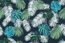 monstera, 몬스테라, 트로피컬, 트로피칼, 열대, 사진,이미지,일러스트,캘리그라피 - 온크래프트작가 크라우드픽 - 저작권 걱정 없는 상업용... 