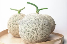 melon, 과일, fruit, 멜론, 농업, 사진,이미지,일러스트,캘리그라피 - 꿈꾸는아빠작가 크라우드픽 - 저작권 걱정 없는 상업용 이미지