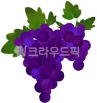 포도나무, 포도송이, 포도, 포도알, 열매, 사진,이미지,일러스트,캘리그라피 - sahana작가 크라우드픽 - 저작권 걱정 없는 상업용 이미지