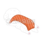 비숑, 비숑프리제, 초밥, 캐릭터, 스시, 사진,이미지,일러스트,캘리그라피 - ya9390작가 크라우드픽 - 저작권 걱정 없는 상업용 이미지