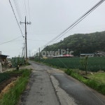 농촌, 시골, 밭, 시골길, 시골밭, 사진,이미지,일러스트,캘리그라피 - 미니포토작가 크라우드픽 - 저작권 걱정 없는 상업용 이미지