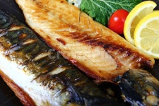 고등어, 생선, 등푸른생선, 구이, 생선구이, 사진,이미지,일러스트,캘리그라피 - Nstonekwak작가 크라우드픽 - 저작권 걱정 없는 상업용 이미지