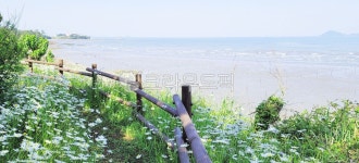 flower, 부안, 변산, 변산마실길, 마실길1코스, 사진,이미지,일러스트,캘리그라피 - Nteneye작가 크라우드픽 - 저작권 걱정 없는 상업용 이미지