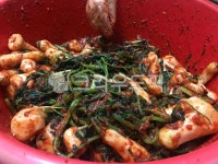 김치, 김장, 총각무, 총각김치, 집밥, 사진,이미지,일러스트,캘리그라피 - guriguri19작가 크라우드픽 - 저작권 걱정 없는 상업용 이미지