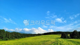 초원, 목초지, 자연, 옥외, field, 사진,이미지,일러스트,캘리그라피 - phototo73작가 크라우드픽 - 저작권 걱정 없는 상업용 이미지
