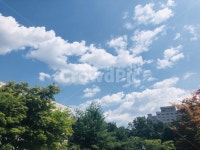 하늘, 구름, 자연, 풍경, 경치, 사진,이미지,일러스트,캘리그라피 - 큰나무작가 크라우드픽 - 저작권 걱정 없는 상업용 이미지