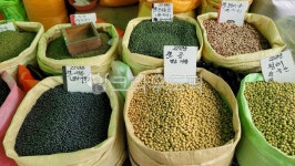 콩, bean, 흑태, 검은콩, 청태, 사진,이미지,일러스트,캘리그라피 - BUSAN OPPA작가 크라우드픽 - 저작권 걱정 없는 상업용 이미지