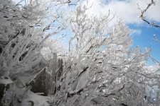 설경, 눈, snow, 무등산, 국립공원, 사진,이미지,일러스트,캘리그라피 - 고운경작가 크라우드픽 - 저작권 걱정 없는 상업용 이미지