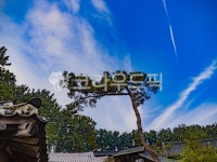 나무, 구름, 하늘, 소나무, tree, 사진,이미지,일러스트,캘리그라피 - Nnys1737작가 크라우드픽 - 저작권 걱정 없는 상업용 이미지