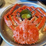 kingcrab, 왕게, food, 음식, sealife, 사진,이미지,일러스트,캘리그라피 - Nes6479작가 크라우드픽 - 저작권 걱정 없는 상업용 이미지